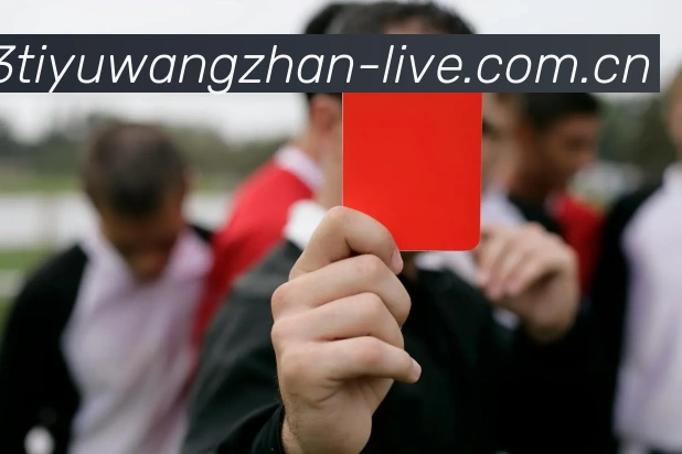 333体育网站热门赛事APP 封面图